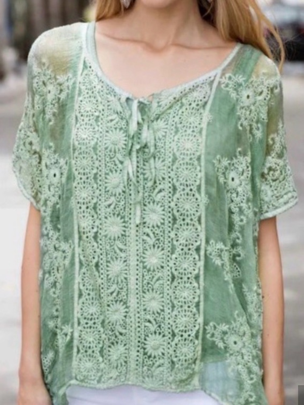 Diosas Women's Embroidered Silk Top Sage Green Size Large
